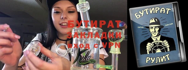 мдпв Гусев