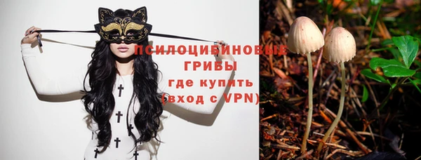 мдпв Гусев