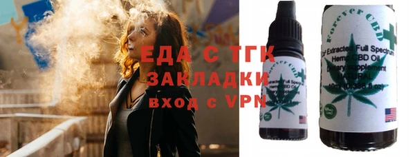 мдпв Гусев
