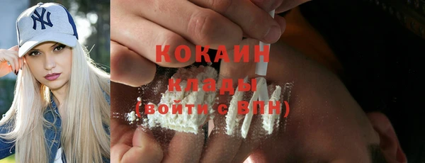 мдпв Гусев