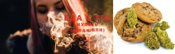индика Горнозаводск