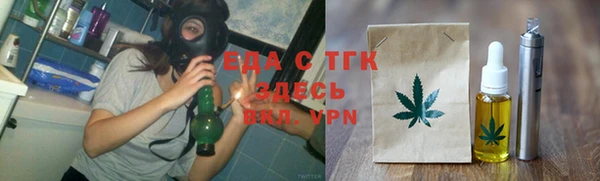 мдпв Гусев