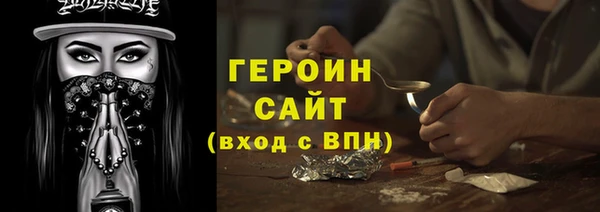 мдпв Гусев