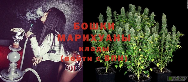 спайс Гусиноозёрск