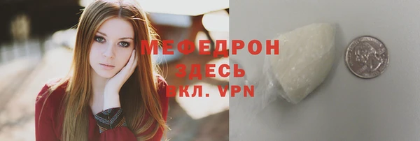 мдпв Гусев