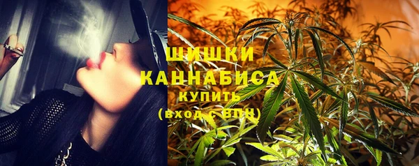 мдпв Гусев