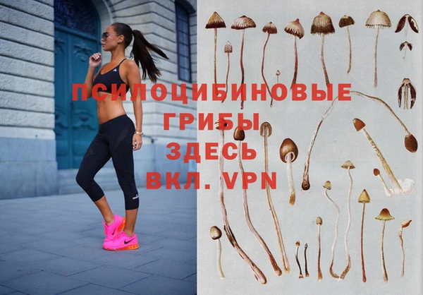 спайс Гусиноозёрск