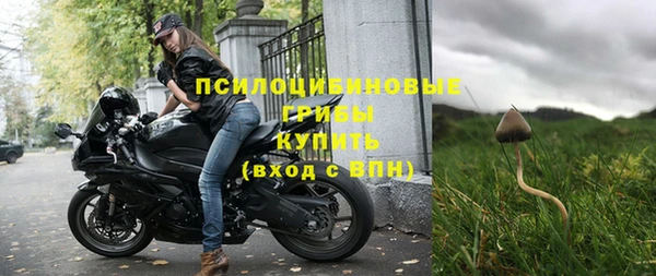 спайс Гусиноозёрск