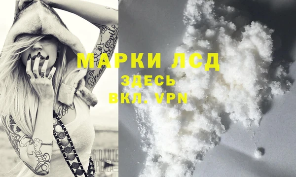 мдпв Гусев