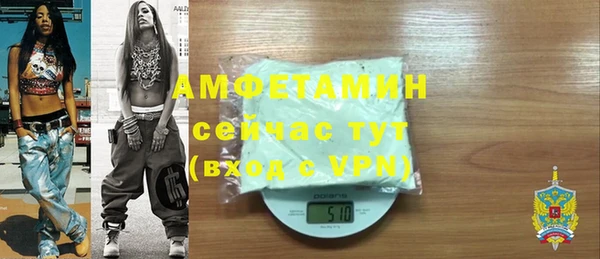 мдпв Гусев