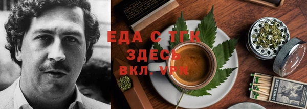 мдпв Гусев