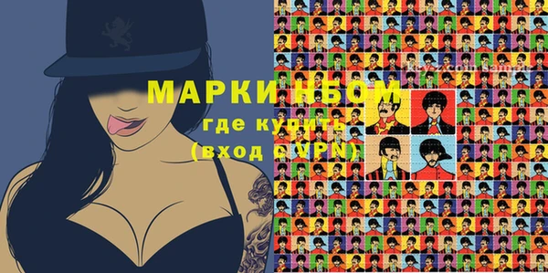 мдпв Гусев